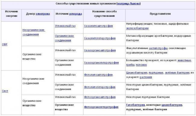 Мир дикой природы на wwlife.ru - эукариоты (eucaryota)