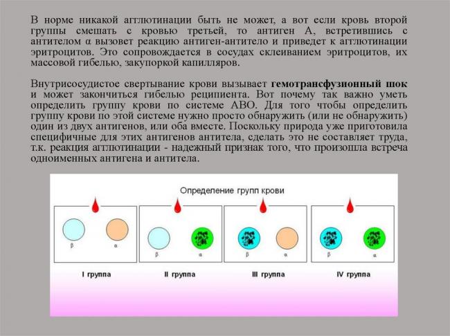 Агглютинация и выкидыш
