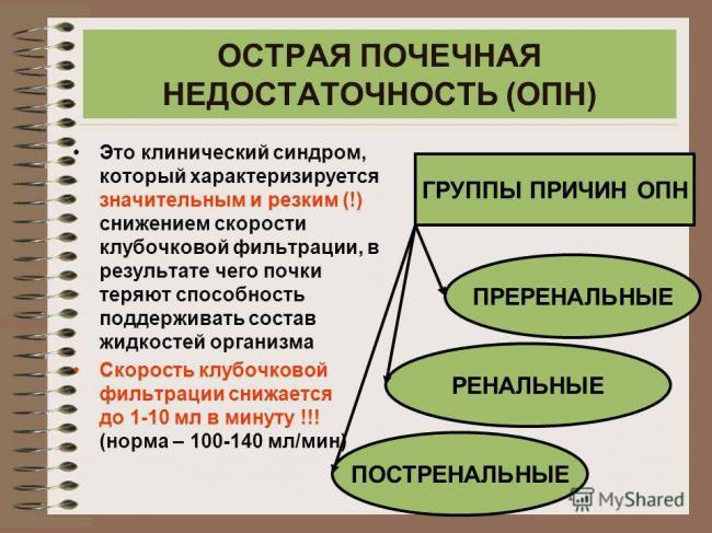 Рамилонг плюс инструкция по применению