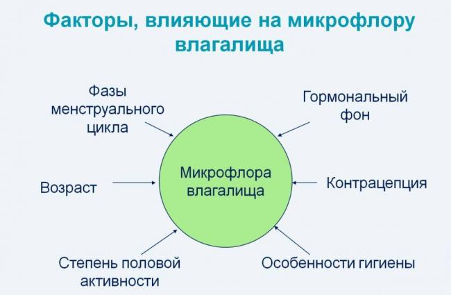 Чем вредна условно-патогенная флора и можно ли от нее избавиться