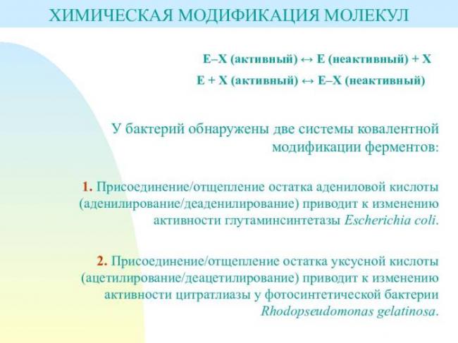 Для чего нужны ферменты бактериям, их польза и вред для человека