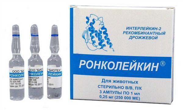 Гамавит отзывы ветеринара