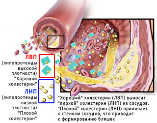 Холестерин