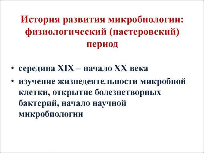 Открыты бактерии и простейшие