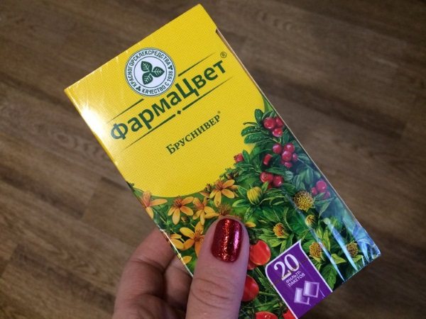 Бруснивер — чай при цистите