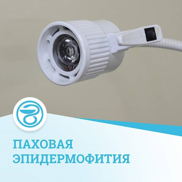 Эпидермофития – диагностика, лечение и профилактика. какими препаратами лечить паховую и эпидермофитию стоп у мужчин и женщин?