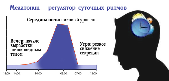Таблетки донормил инструкция по применению — донормила смертельная доза