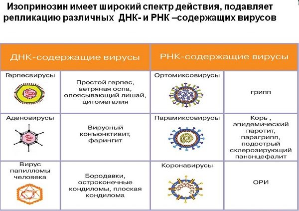 Изопринозин (таблетки) – инструкция по применению (взрослым, детям), применение при впч и других инфекциях, аналоги, отзывы, цена