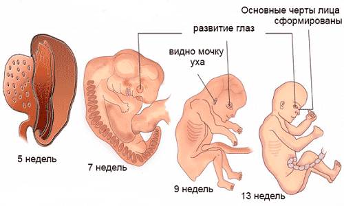 Рутозид инструкция по применению цена отзывы аналоги
