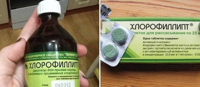 Хлорофиллипт показания, инструкция по применению для полоскания горла