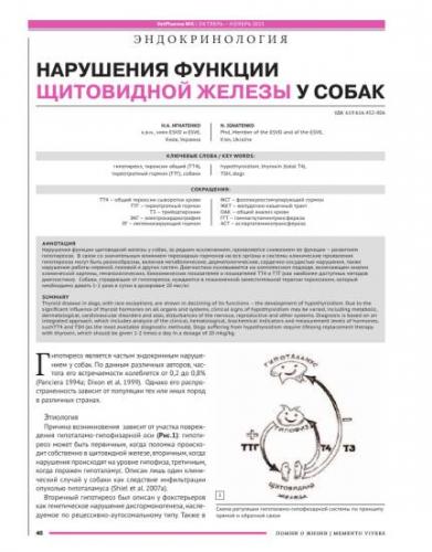 Роль гормона т3 в жизнедеятельности организма