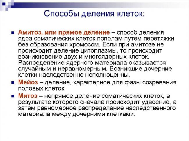 Основные виды деления бактерий и факторы ограничения роста популяции