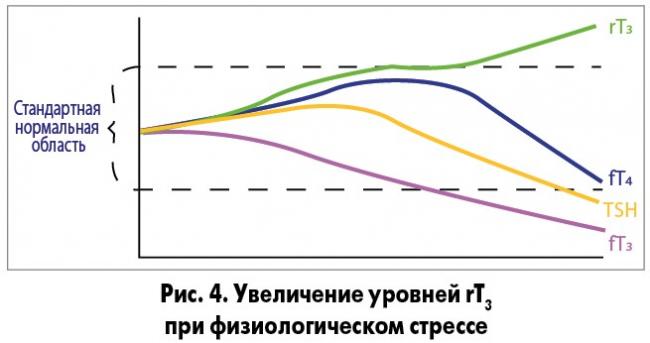 Что означает повышенный уровень т3 свободного