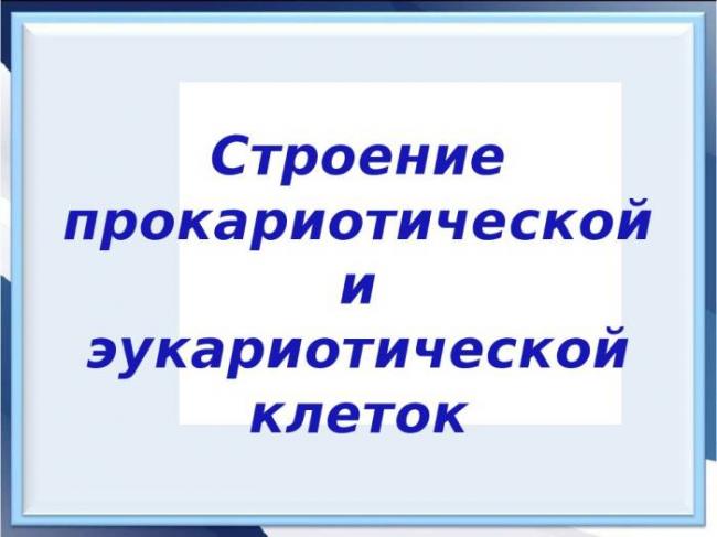 Эти уникальные одноклеточные бактерии