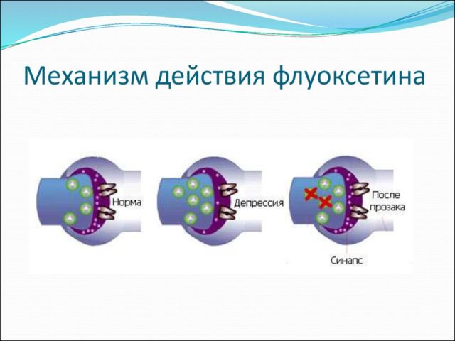 Алпразолам таблетки «органика»
