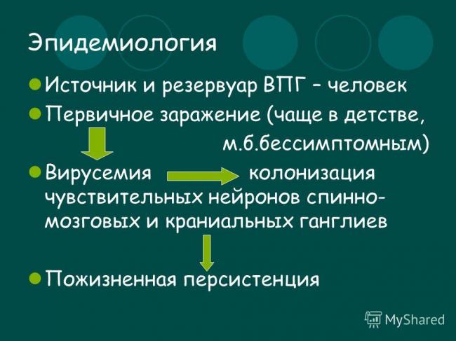 Как вирусы гриппа проникают в организм человека