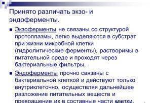 Тема 6. физиология бактерий. ферменты бактерий. выделение чистых культур аэробных и анаэробных бактерий