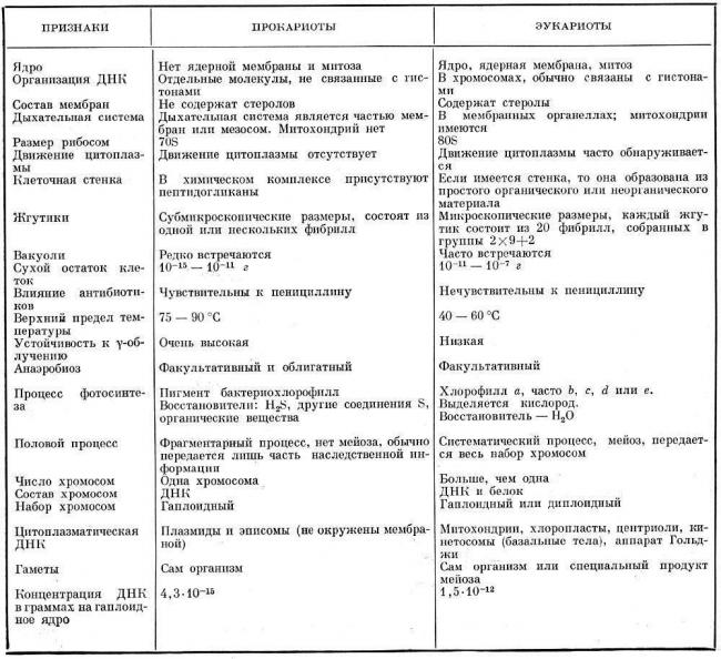Микробиота кишечника