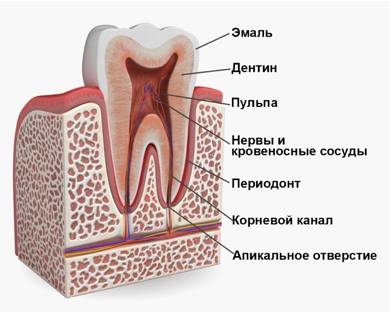 Острый, хронический, пульпит зуба мудрости: лечение и симптомы