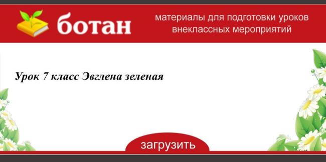 Эвглена зелёная - питание, тип, значение, фото простейших одноклеточных