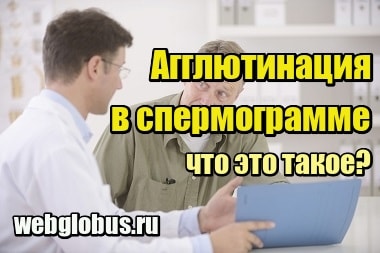 Характеристика возбудителя коклюша bordetella pertussis и особенности эпидемиологии заболевания