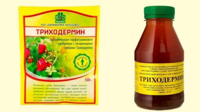 "гаупсин": инструкция по применению и особенности использования