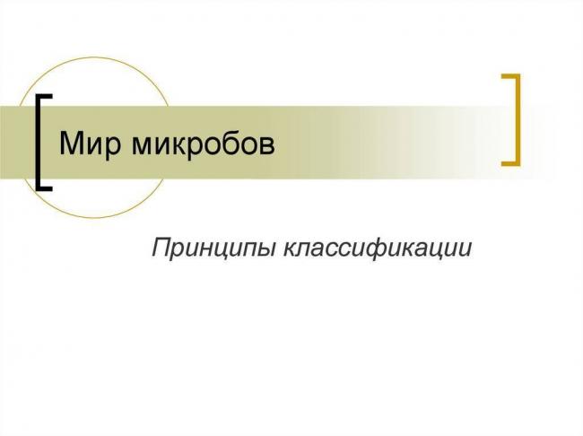 Кто обнаружил бактерии