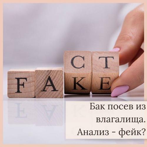 Какова норма содержания бактерий в организме здорового человека
