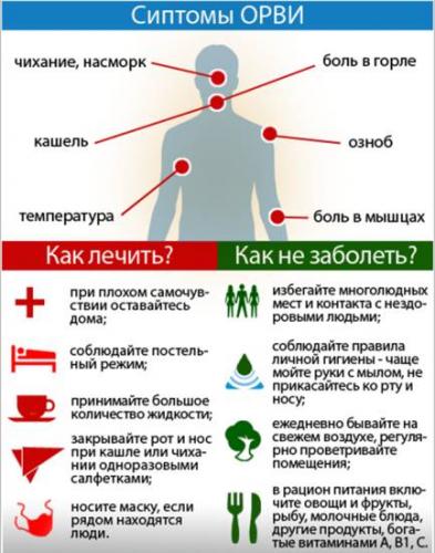 Бактериальные инфекции: как распознать болезнь глаз на начальных этапах