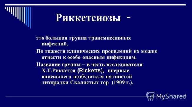 Гельминтоз – симптомы и признаки у детей и взрослых, диагностика, лечение (как избавиться от паразитов, лекарства, таблетки, народные средства)