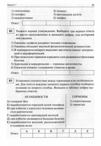 Центральная нервная система человека