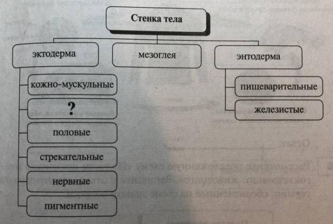 Восточная диета на 10 дней — меню и рецепты