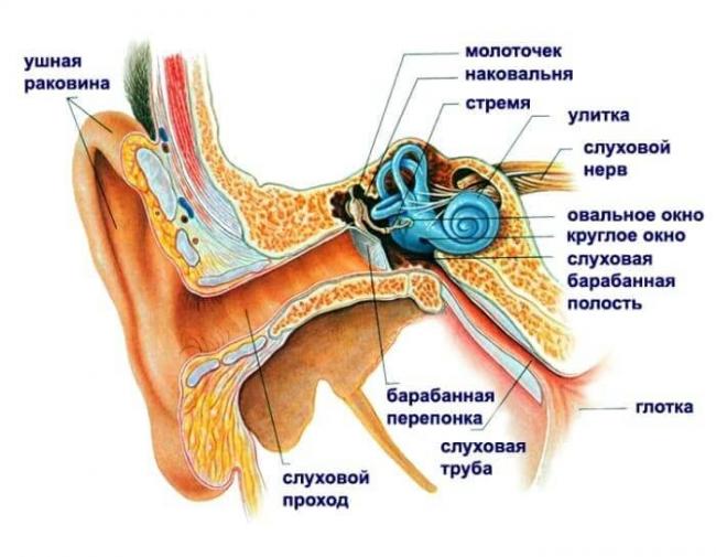 Как избавиться от шума в ушах