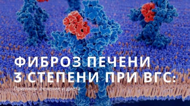 Вирусный гепатит е: причины, симптомы, лечение