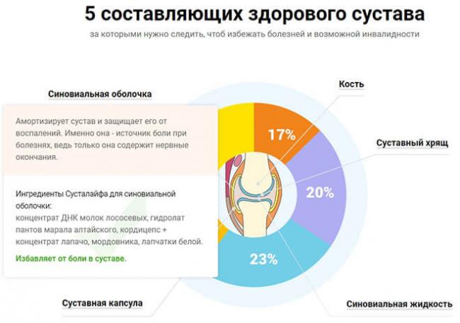 Sustalife лечение, восстановление и профилактика болезней опорно-двигательного аппарата