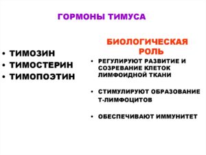 Жировой обмен