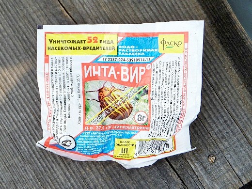 Инсектицид инта-вир: от муравьев, тли, колорадского жука, паутинного клеща, луковой мухи, долгоносика, гусениц, белокрылки, ос, как использовать препарат, состав средства