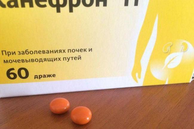 Канефрон для собак инструкция по применению