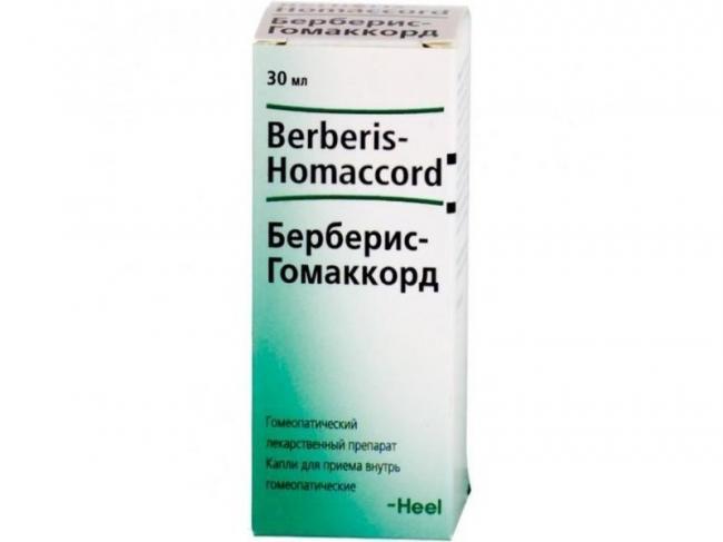 Берберис-гомаккорд - описание и инструкция по применению