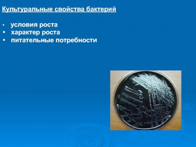 Идентификация микробов — большая медицинская энциклопедия