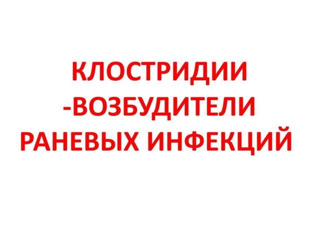 Клостридия: патогенность, формы клостридиоза, симптомы, диагностика, лечение