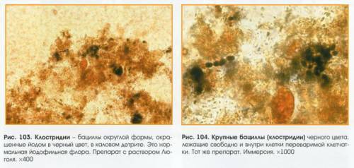 Наиболее распространенные и опасные патогенные микроорганизмы в почве