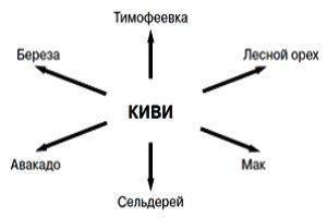 Как проявляется аллергия на киви: причины, симптомы, лечение