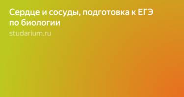 Кровеносные сосуды и кровообращение – opiq