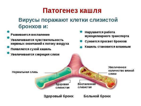 Ренгалин Rengalin инструкция по применению