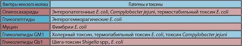 Цитробактер в анализе кала