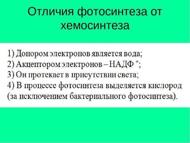 Царство бактерии общая характеристика, кто открыл бактерии, названия и примеры бактерий, чем питаются, как размножаются, запасное вещество бактерий, признаки симбиотических бактерий