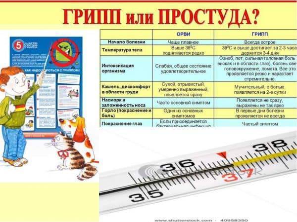 Лекарства от простуды, таблетки от гриппа, список средств