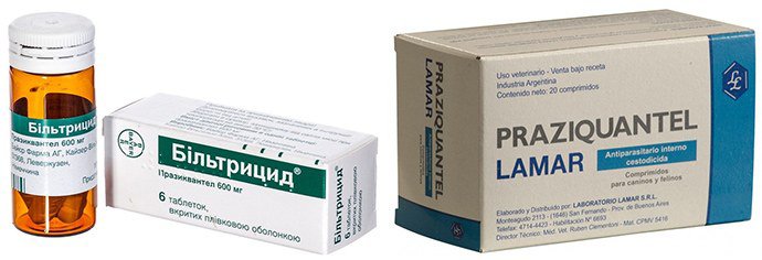 Карликовый цепень (гименолепидоз): как сдавать анализ, симптомы и лечение