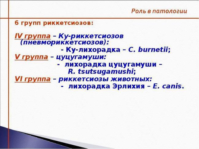Осповидный риккетсиоз - симптомы болезни, профилактика и лечение осповидного риккетсиоза, причины заболевания и его диагностика на eurolab